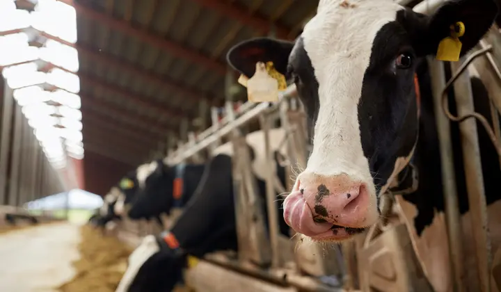 Arla Foods